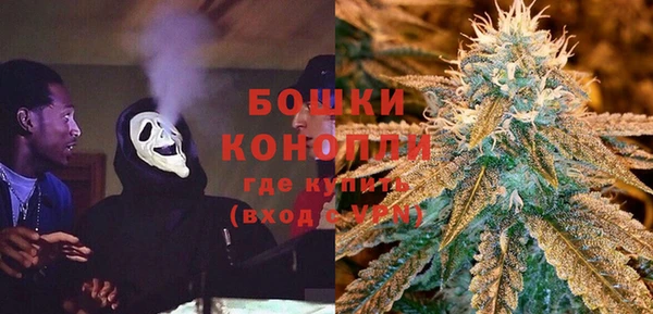 гидропоника Ельня