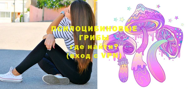 apvp Елизово